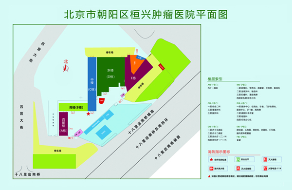 女生插屄视频网站淫北京市朝阳区桓兴肿瘤医院平面图